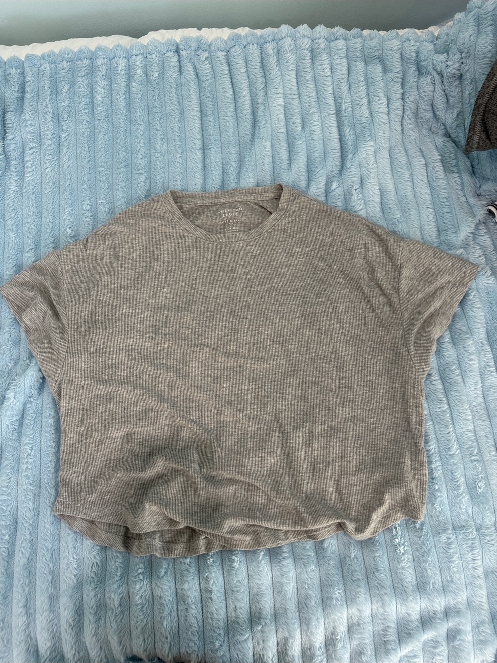 American Eagle Outfitters Heather Gray Crop Tee